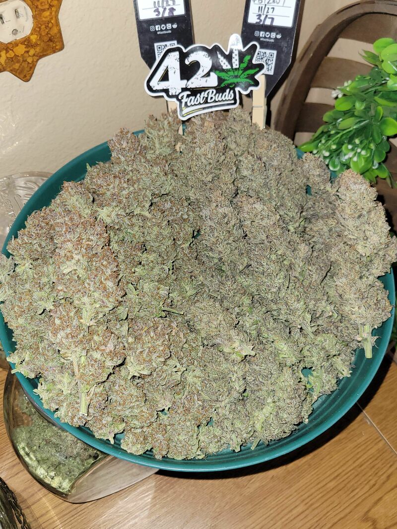 Guava Auto, Фасовка: 5, изображение 22